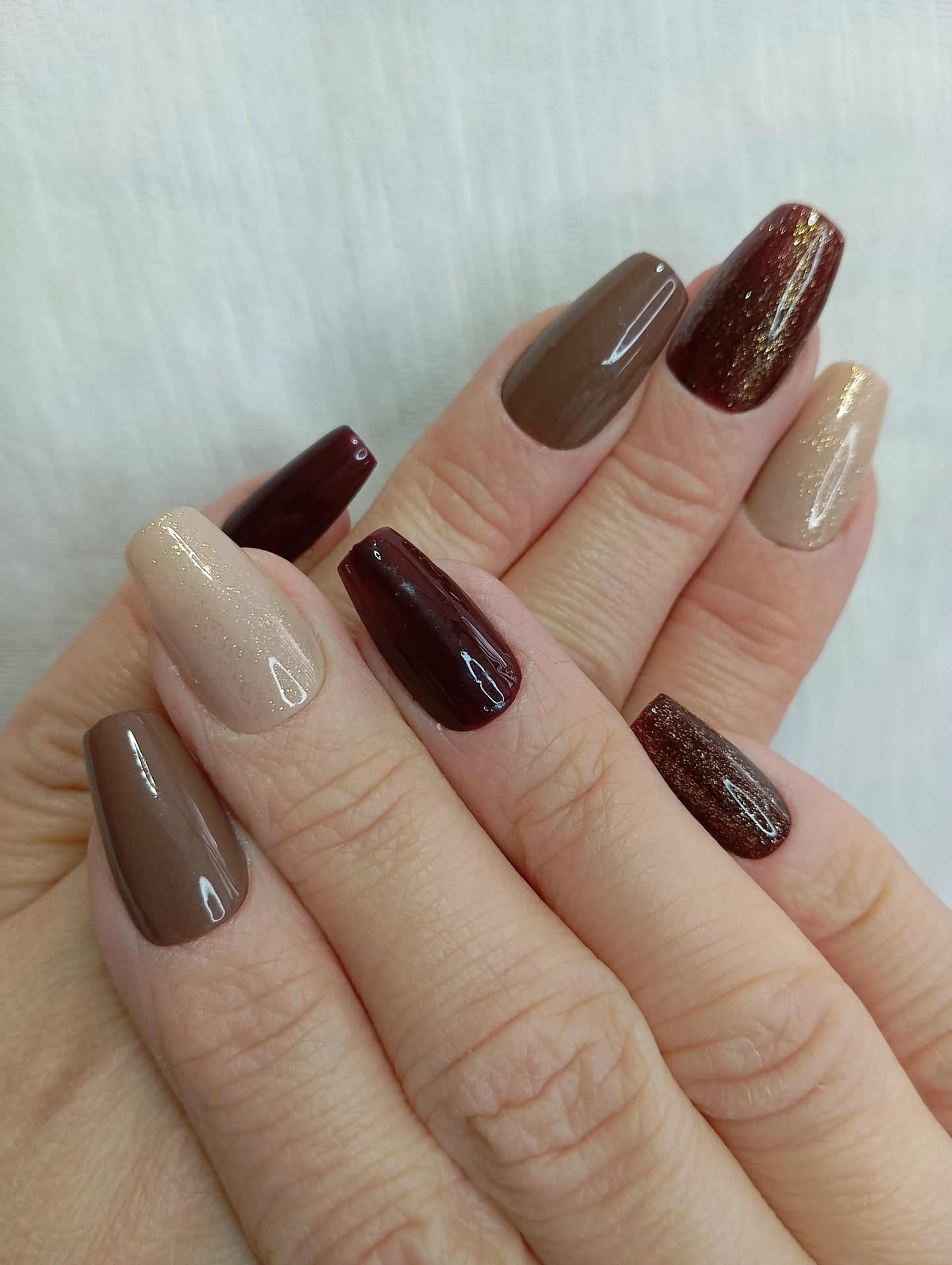 Press-on Nails "Automne Chic"