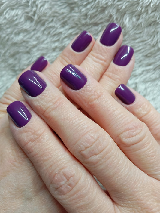 Press on nails 💜 Purple Royalty